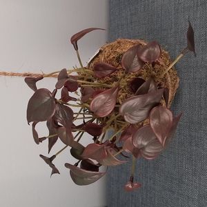 Kokedama Philodendron Artificial Plant Hanging Botanical Moss Home Decoration